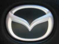 'นายเต่อร์' ของคุณ หมีเล็ก