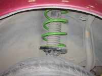 'น้อง มะเหมี่ยว' ของคุณ pik031